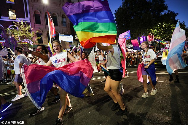 Applicants are also asked about their gender orientation, including options for 'non-binary' and 'gender diverse' under the 'workplace diversity' section (photo, festival goers at Mardi Gras in 2023)