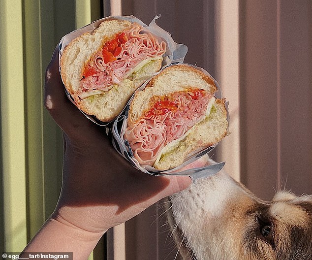 The Stallion sub-style sandwich ($22) also has a devoted fan base