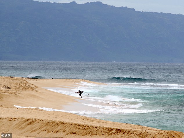He was found at Mālaekahana Beach on Oahu's North Shore by local surfers with an arm and a leg missing