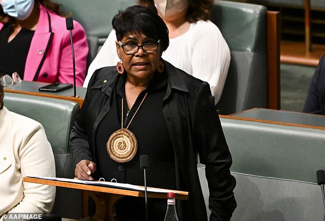 Labor MP Marion Scrymgour (pictured) has called in lawyers over a series of comments made by incendiary Senator Lidia Thorpe