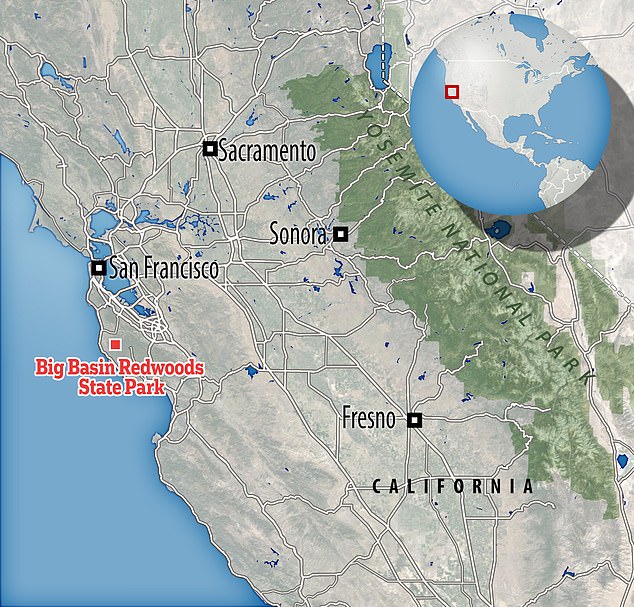 A three-hour hike in Big Basin Redwoods State Park in search of a granite rock led to ten lost days and a near-death experience