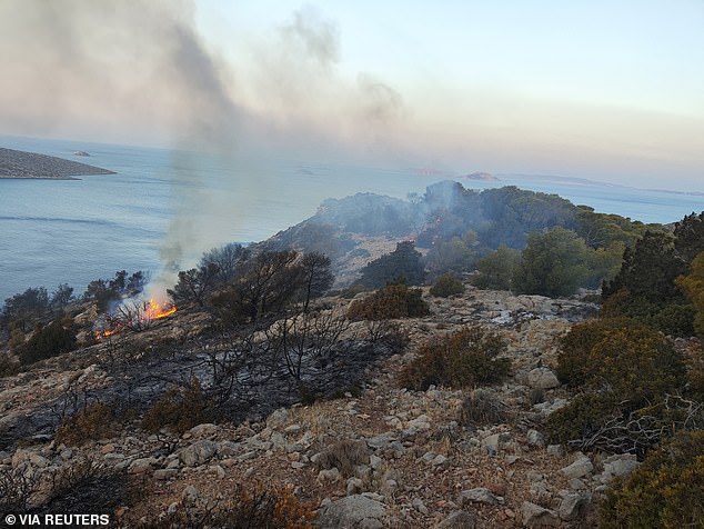 A view of an area damaged by a forest fire on the island of Hydra, Greece, June 22, 2024