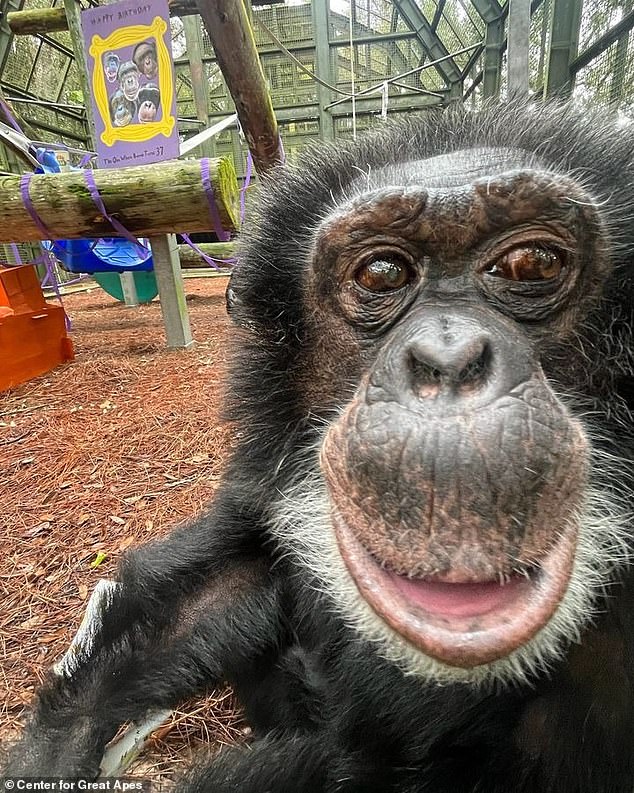 Shelter director Patti Ragan told the publication that Bubbles has a lot of freedom at the shelter, including exploring the tunnel, building a nest under a tree, taking daily afternoon naps and even painting occasionally.