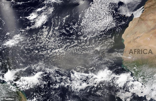Saharan dust travels 5,000 miles from the Sahara to the Florida coast every year.  This dust storm is expected to be the largest yet this season