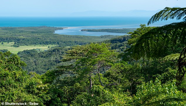 In Far North Queensland (pictured) he enjoys visiting the mangroves and estuaries, and taking various mountain bike trails