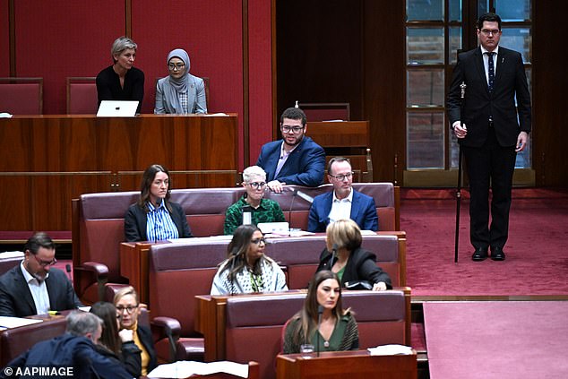 Prior to her decision to take the floor, Ms. Payman abstained from several rounds of voting.  She did this visibly, watching as Senator Thorpe shouted at Labor for being 'complicit in genocide'