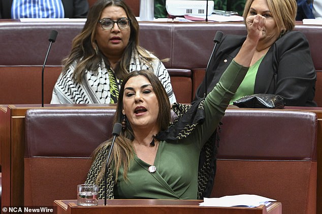 Firebrand Senator Lidia Thorpe used the high-stakes moment, which attracted a crowd of journalists, to lash out at politicians from both major parties for voting against the Greens motion