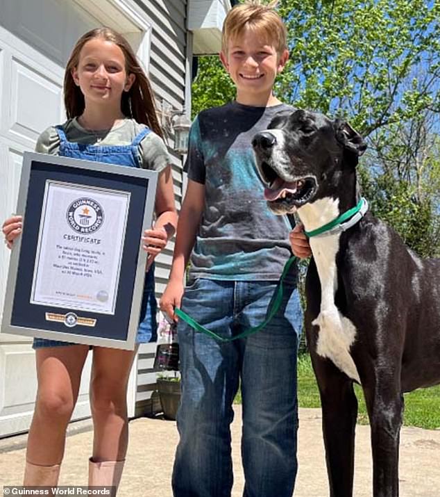 Alexander had trained Kevin and would take obedience lessons with him.  He showed his enthusiasm in a June 13 video posted by Guinness World Records