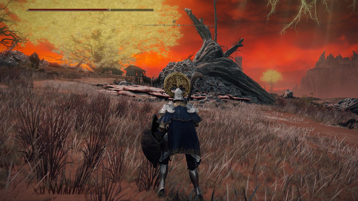 An Elden Ring player stands in a field and shows off his powerful, soft caps.