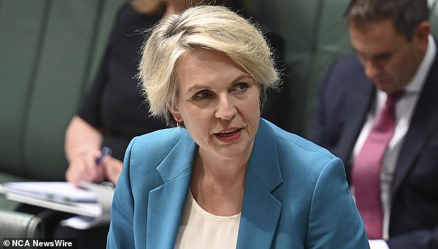 Environment Minister Tanya Plibersek restated his comments on the issue, saying: 