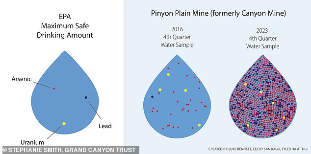 The Grand Canyon Trust reported that the water from the Pinyon Plain Mine contained uranium six times the maximum level of contaminants considered safe to drink – while lead was 243 times the allowable amount and arsenic was 812 times the limit.