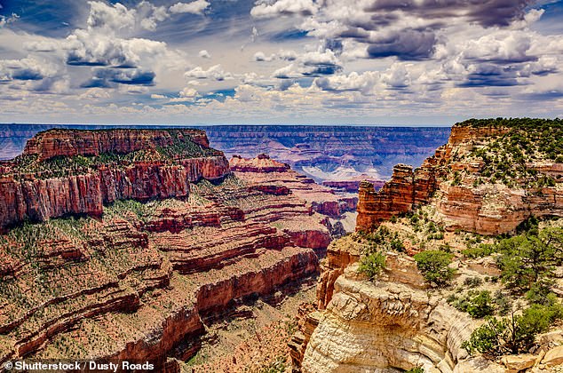 The Grand Canyon is home to 1.3 percent of the U.S. uranium reserves