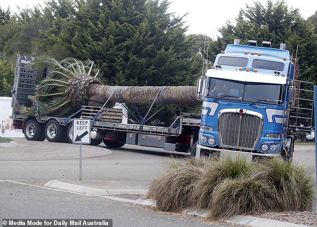 It is not the first time the construction site has caused chaos.  Last month, Daily Mail Australia watched as huge rigs brought palm trees to the construction site, which is located in a former Cowes resort along a narrow street ironically called Justice Road.