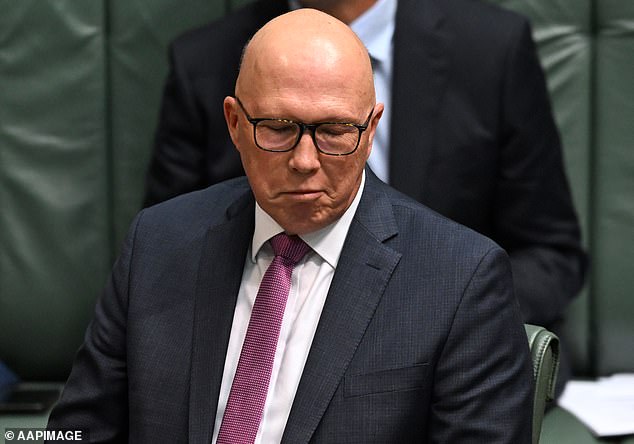 In a heated debate over cost of living pressures, Anthony Albanese on Wednesday referred to Mr Dutton (pictured) as 'he' rather than calling him 'the Honorable Member of Parliament'.