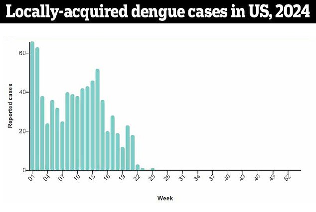The above shows the number of patients who tested positive for dengue despite not traveling outside the United States