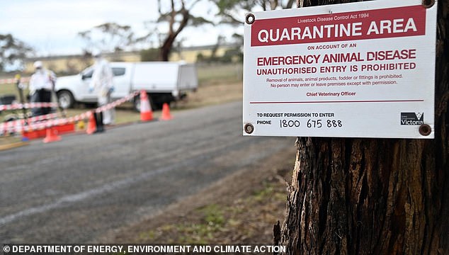 A quarantine order has been put in place around the ACT poultry farm, which will cover a 10 km radius around the affected location