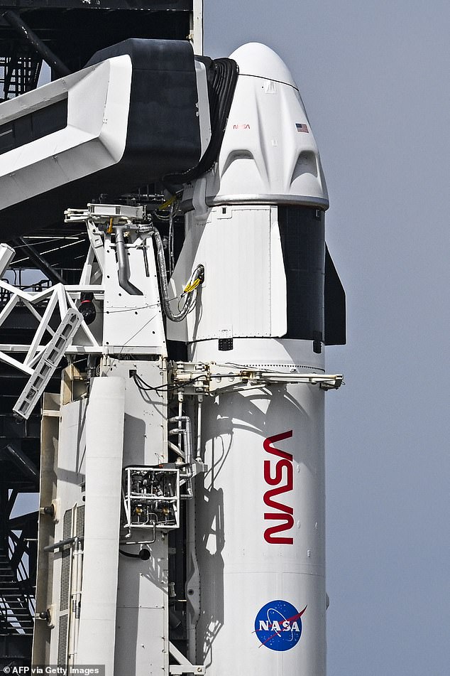 Experts have suggested that NASA has already spoken to SpaceX about a possible rescue mission