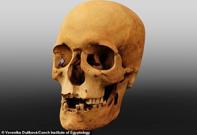 Model of the skull of Nefer - the 'overseer of the crew scribes' and 'overseer of the royal document scribes'