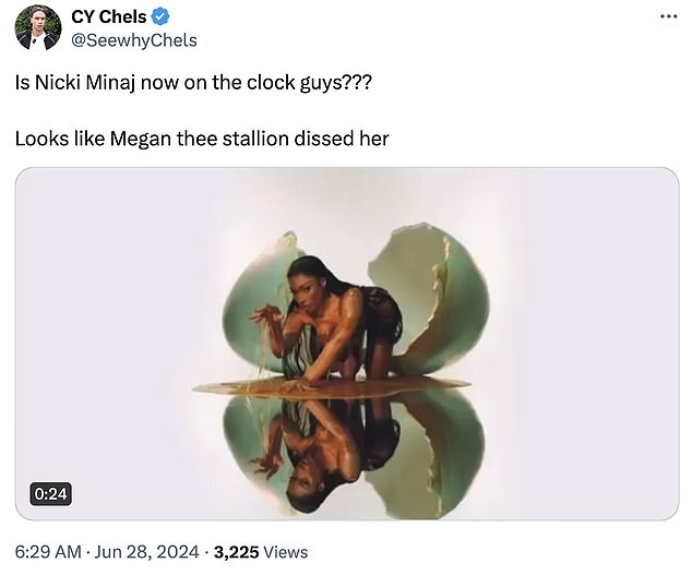 Fans are convinced Megan's lyrics are a clear attack on Nicki, as they took to X, formerly known as Twitter, to share their thoughts