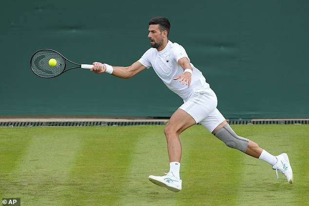 Novak Djokovic would deliver a blockbuster quarter-final for Murray