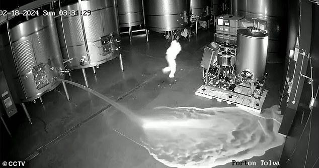 A fired winemaker worker was arrested in northwestern Spain on Thursday for sabotaging a Cepa 21 warehouse and generating a $2.7 million loss after releasing 60,000 liters of red wine from three tanks.