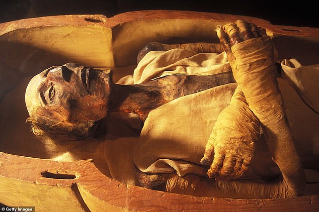 The king's remains were discovered in 1881