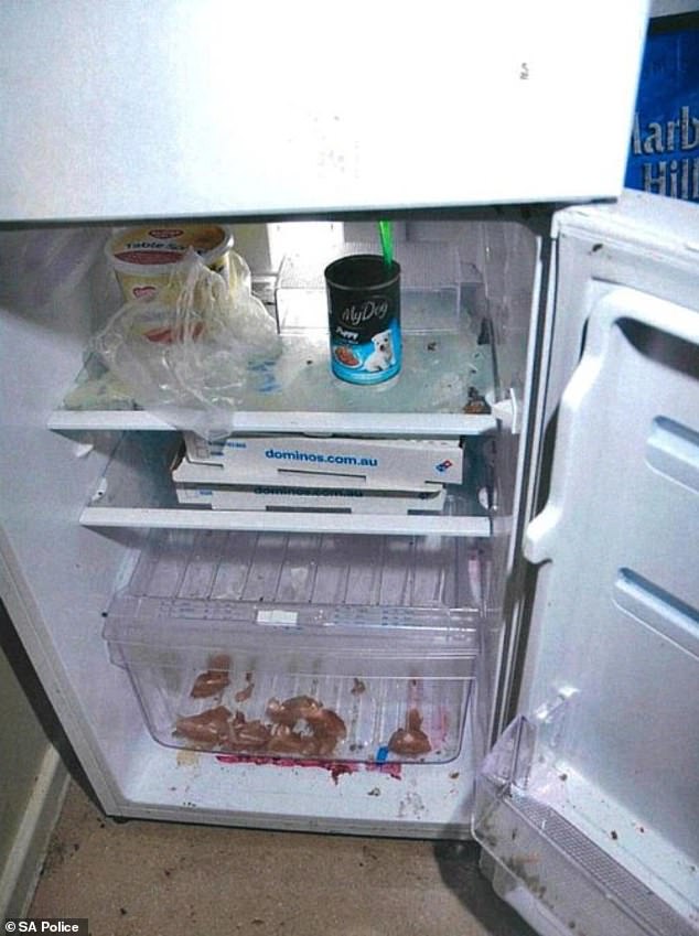 The dirty fridge in the South Australian home where an 11-week-old baby boy died has been pictured