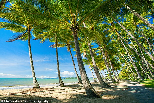 Palm Cove Beach is located in 'Croc Country', an area designated as crocodile habitat (stock image)