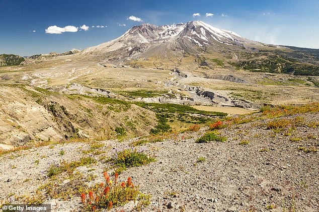 The system predicted when the volcano would erupt at least three days in advance – with 95 percent accuracy