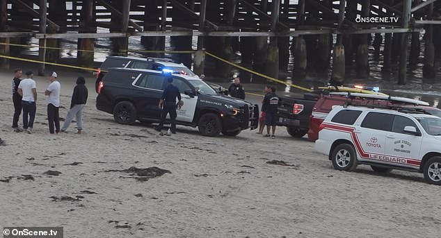 Caedan was swimming near the north side of the Pacific Pier south of La Jolla around 2 a.m. Thursday when he disappeared, and his body washed up nearly two hours later
