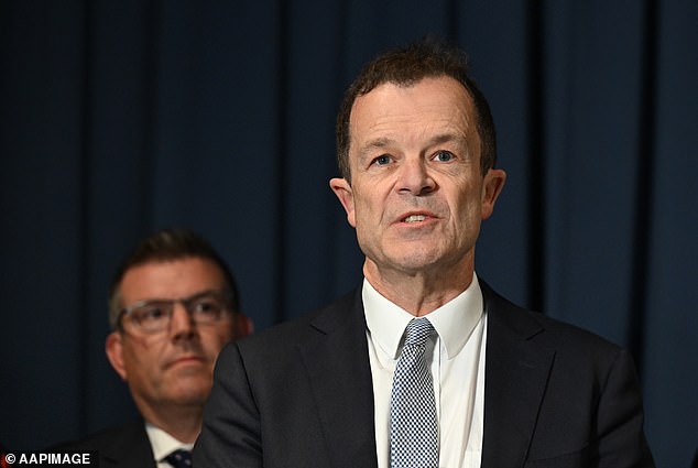 NSW Opposition Leader Mark Speakman's (pictured) visit to the state seat of Wagga Wagga was not well received by Nationals Upper House MP Wes Fang, who took to social media to criticize his coalition leader, who was clearly angry that he was not involved in the trip.