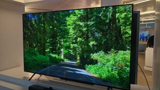 LG B4 OLED TV with green forest on the screen