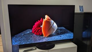 Panasonic Z95A with flowers on the screen