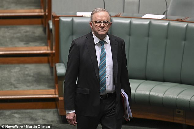 The 29-year-old Muslim senator from Western Australia said she respected Premier Anthony Albanese (pictured)