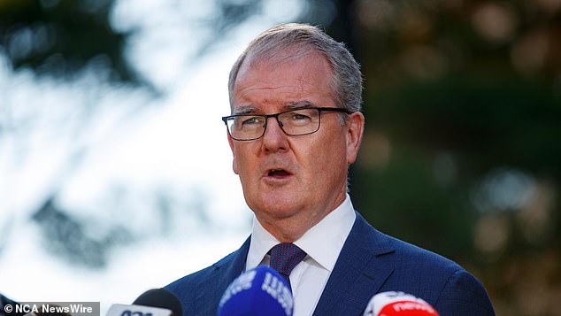 NSW Attorney-General Michael Daley says new bail law reform will help protect the most vulnerable