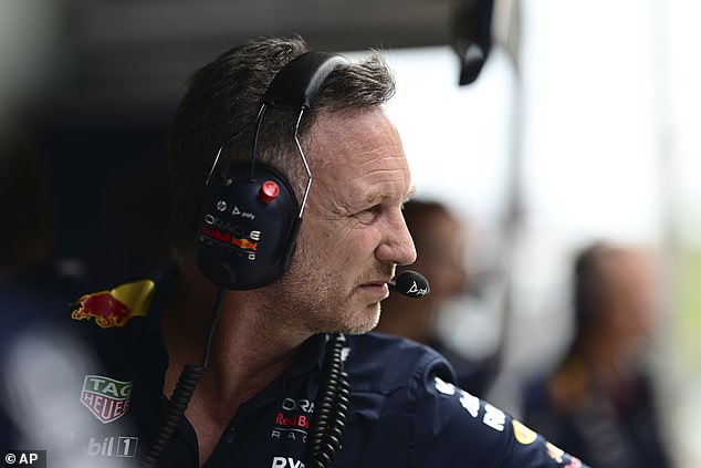 Red Bull team boss Christian Horner also claimed that Norris was the wrong driver