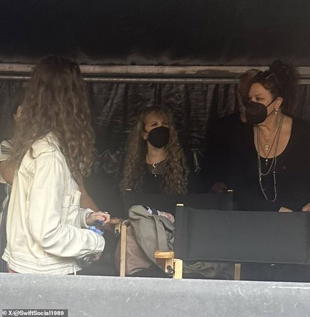 Meanwhile, Stevie Nicks wore a face mask as she kept a low profile in the VIP tent during the concert at the Aviva Stadium