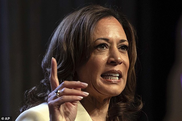 Vice President Kamala Harrison dodged when CNN pressed her about what Biden's day is like after his disastrous debate performance. Pictured: Harris on the campaign trail in New York on June 21, 2024