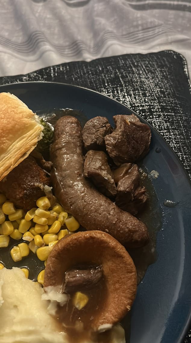 Raigan Thompson shared a photo of his questionable-looking dinner on social media, where it quickly attracted attention