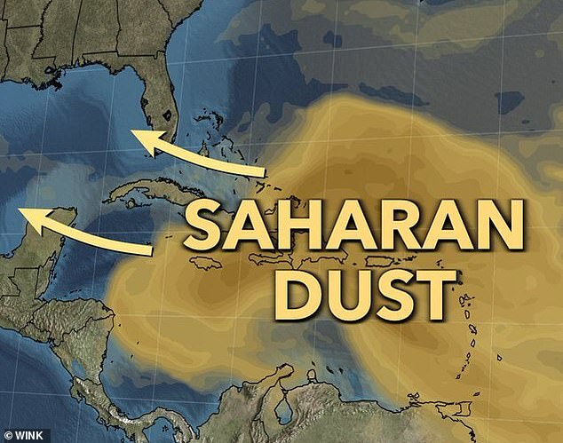 Scientists predict the dust will reach the South Florida coast and the Gulf of Mexico this weekend and spread into southern Texas