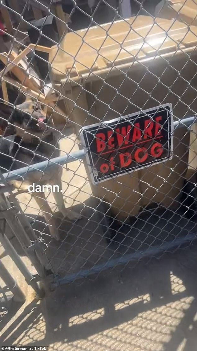 A man who attacked a dog when he thought it was locked behind a fence got the fright of his life
