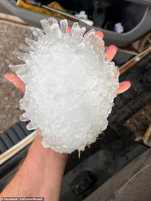 Texas was also hit by hail about the size of a pineapple (pictured)