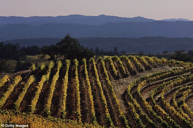 California is responsible for approximately 80 percent of the country's total wine production