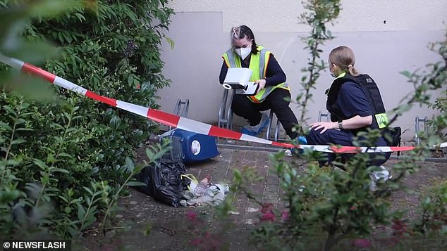 A girl was seriously injured with broken arms and legs after being thrown from a third-floor window into a litter box (pictured) in Germany