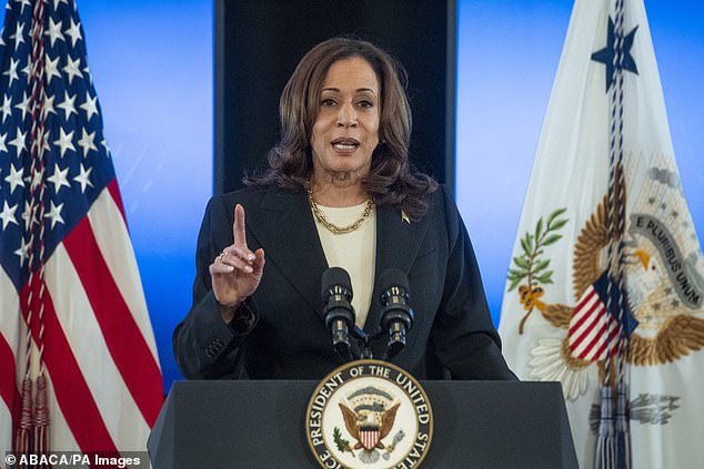 A columnist in the liberal Washington Post has written that Joe Biden should consider replacing Kamala Harris on the ballot, with a blast from the past as his potential vice president.