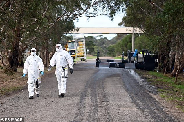 NSW Health authorities have quarantined an egg farm in Sydney's Hawkesbury region after avian flu was detected on site (pictured, authorities in Victoria)