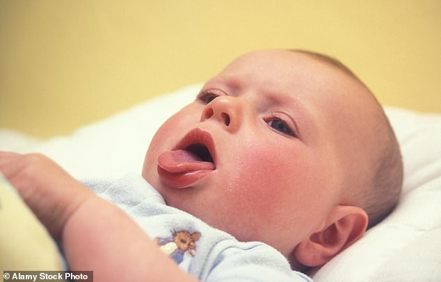 The NHS recommends that all pregnant women between 16 and 32 weeks are vaccinated against whooping cough (stock image)