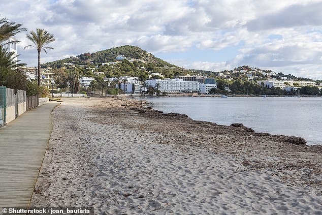 Ibiza's Talamanca beach (pictured) has been listed after it was singled out for catastrophic damage to underwater plants by boats illegally anchored off the coast and a sewage treatment plant pumping salty wastewater into the sea
