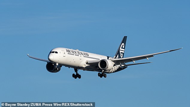 One passenger and one crew member were injured during turbulence on NZ607 from Wellington to Queenstown on Sunday afternoon