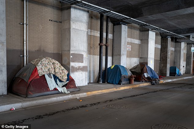 Chicago's homeless population has grown threefold from 2023, reaching a total of 18,836 in January 2024